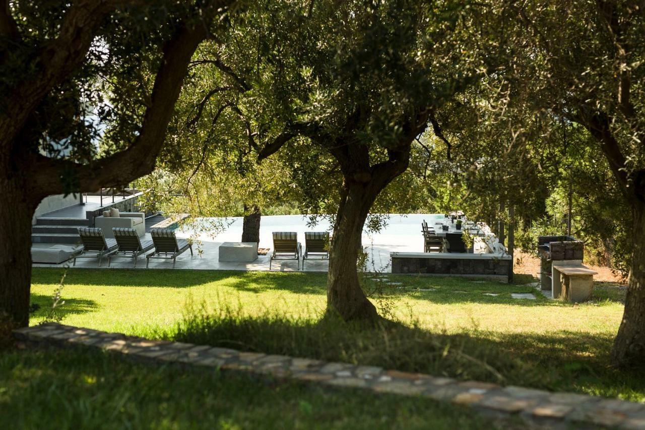 Olivia Estate Villa With Private Swimming Pool Elia Nikitis Exteriér fotografie