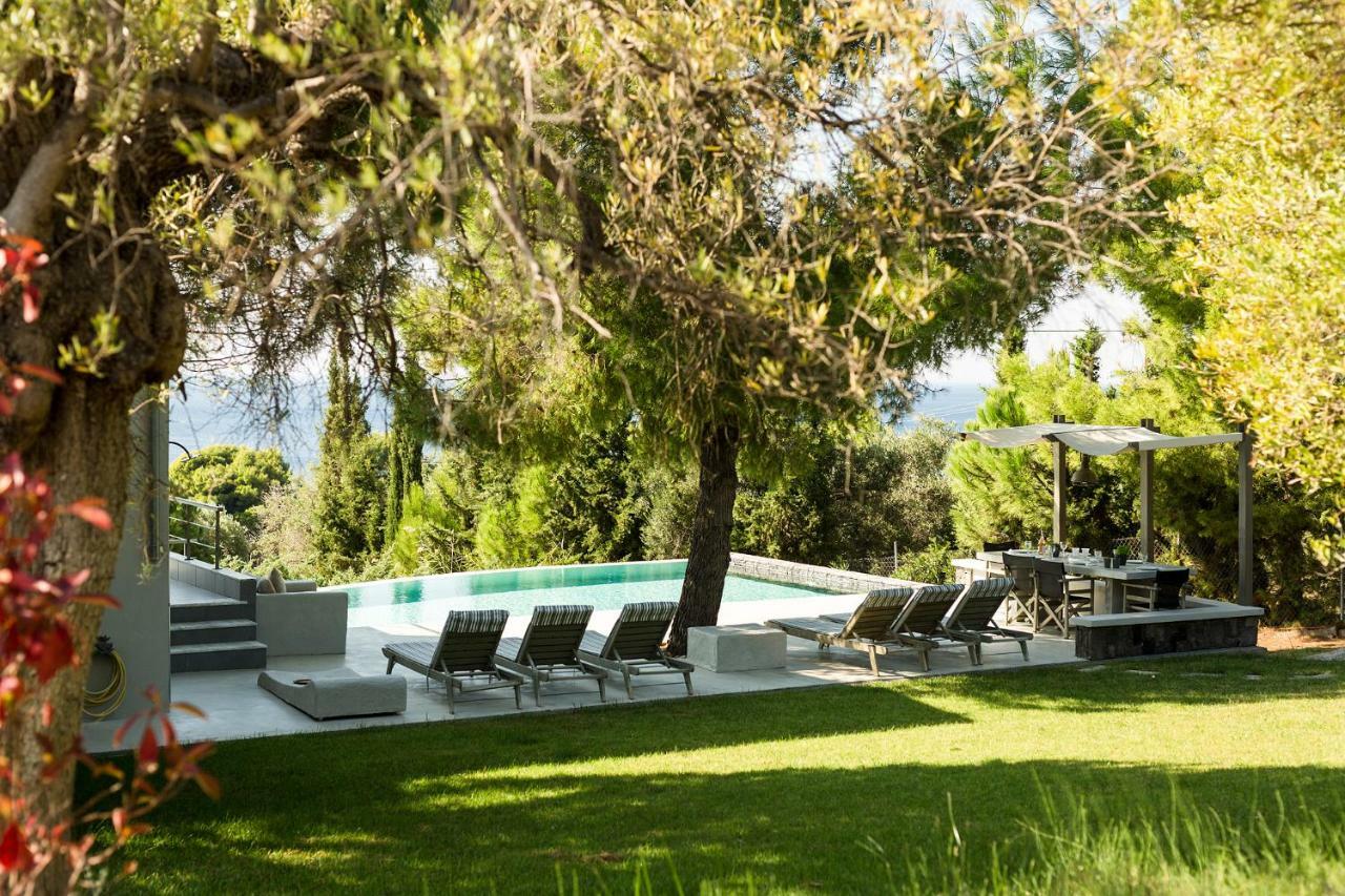 Olivia Estate Villa With Private Swimming Pool Elia Nikitis Exteriér fotografie