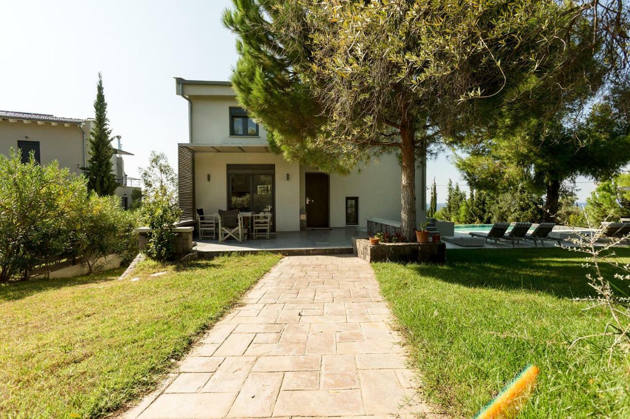 Olivia Estate Villa With Private Swimming Pool Elia Nikitis Exteriér fotografie