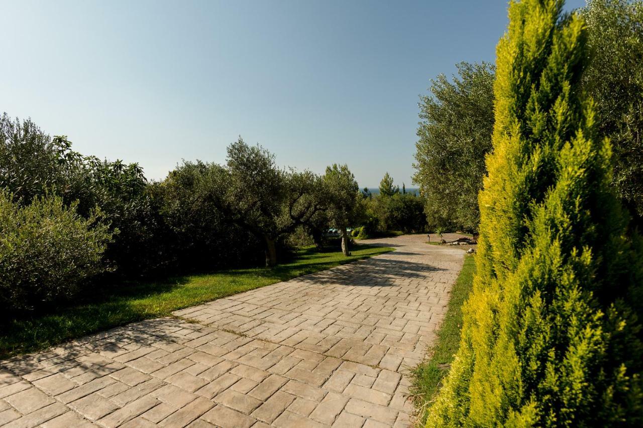 Olivia Estate Villa With Private Swimming Pool Elia Nikitis Exteriér fotografie