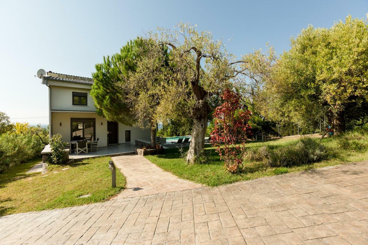 Olivia Estate Villa With Private Swimming Pool Elia Nikitis Exteriér fotografie