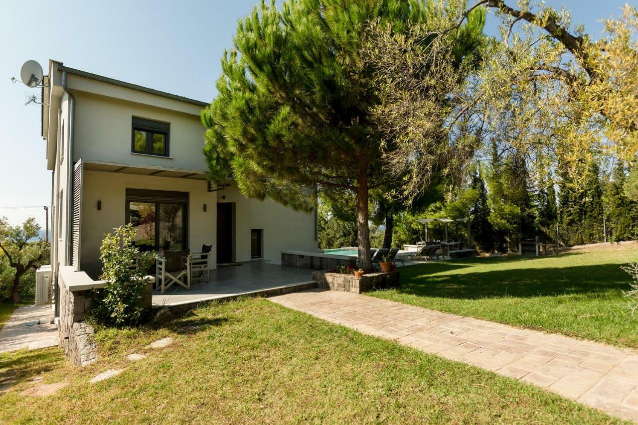 Olivia Estate Villa With Private Swimming Pool Elia Nikitis Exteriér fotografie